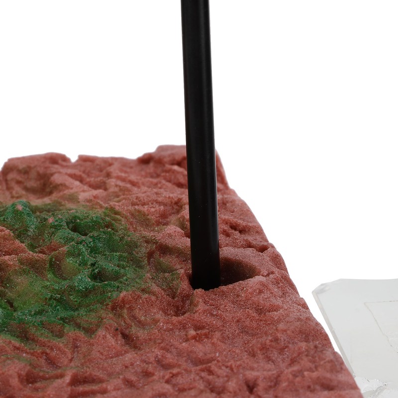 Turtles Platform Lifting Turtles Floating Dock Decoration for Relaxation Drying