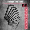 41-Piece Hex Key Allen Wrench Set, L Shape Hex and