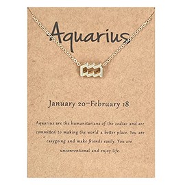 Aquarius Constellation Gift Necklace for Women Adults Gold Zodiac Aquarius Necklace Aquarius Zodiac Sign Necklaces for Women Aquarius Gifts Aquarius Pendant Necklaces