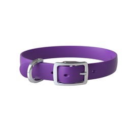 Bond Pet Waterproof Dog Collar - Durable, Comfortable, Adjustable, Wear Resistant and Easy to Clean for Puppies and XSmall Dogs (Purple, XSmall)