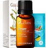 Gya Labs Ginger Essential Oil - 0.34 Fl Oz -