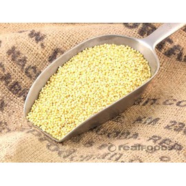Millet Hulled 5 Pounds USDA Certified Organic Non-GMO Bulk, Product of USA, Mulberry Lane Farms