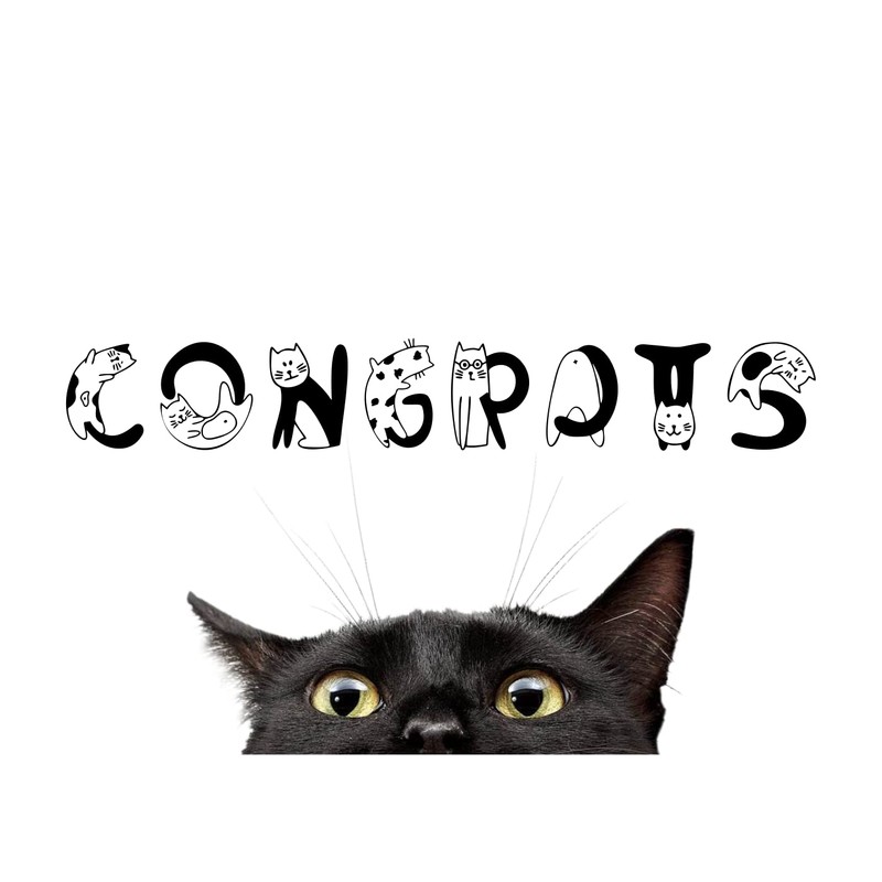 Congrats Card with Black Cat Peeking - Achievement and Well