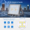 Fairyland LED Spotlight with Plug, 10 W, 20 W, 30