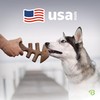 Benebone Fishbone Durable Dog Chew Toy for Aggressive Chewers, Real