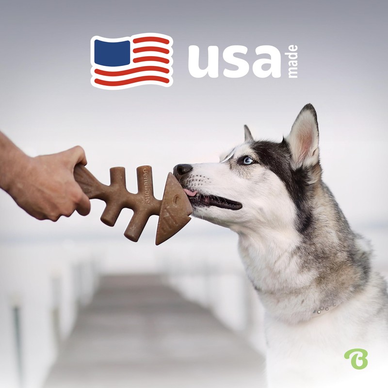 Benebone Fishbone Durable Dog Chew Toy for Aggressive Chewers, Real
