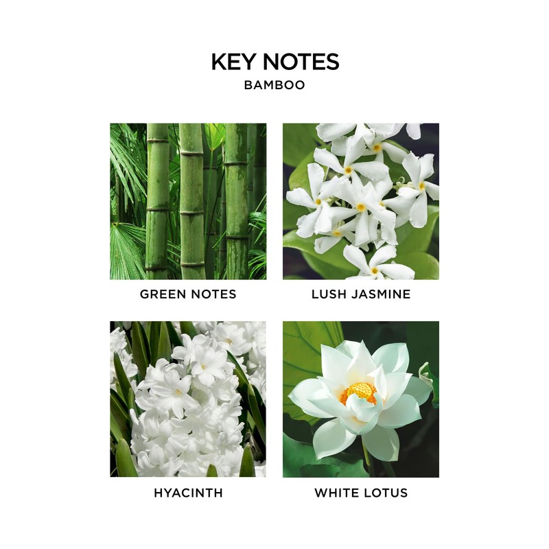 NEST New York Reed Diffuser, Reed Diffuser Liquid Refill &