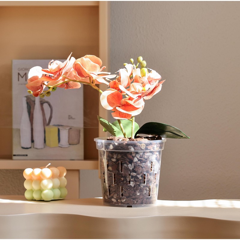TRUEDAYS Orchid Pot - 4 Pack 4 Inch Clear Plastic