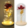Rose in Glass Dome Lucky Beautiful Symbolism Romantic Enchanted Rose
