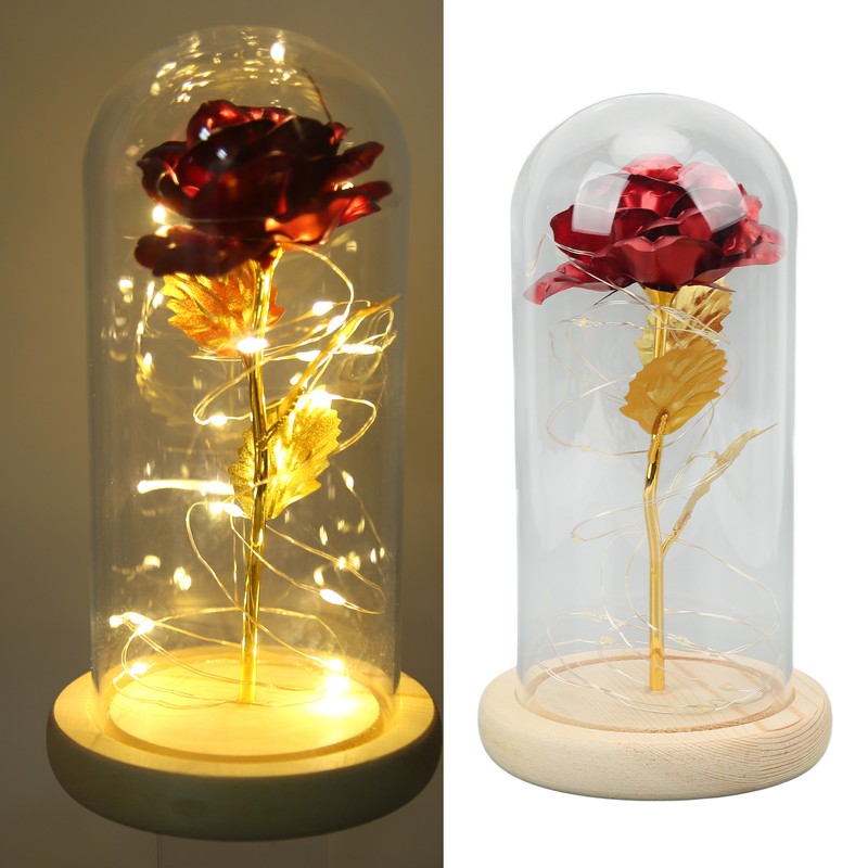 Rose in Glass Dome Lucky Beautiful Symbolism Romantic Enchanted Rose