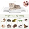 Multifunctional Scales for Newborn Pets, Throwing Scale, Accuracy ± 0.035