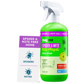 BugMD Pet Safe Spider Repellent Indoor & Outdoor Spray | Natural Spider & Mite Killer with Peppermint Oil to Create a Pest-Free Home - 16oz