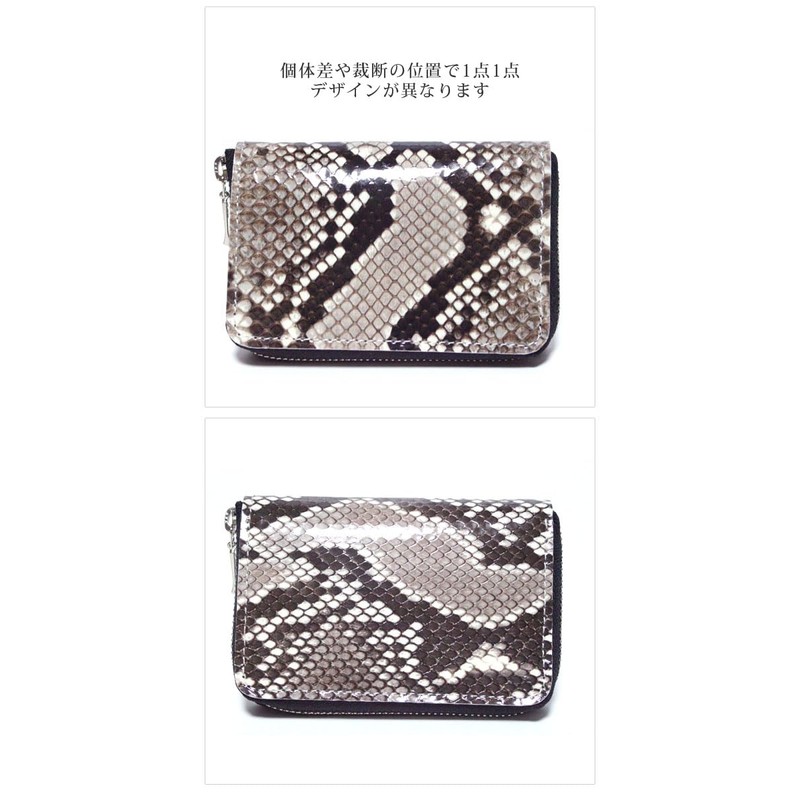 Berkut Diamond Python Coin Purse, Glossy YKK Zip, Feng Shui
