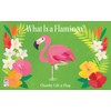 What is a Flamingo?