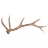 PrinceHerb Medicinal Herb, 100% Natural Russian Deer Antlers 녹각 Bulk