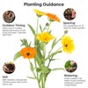 Groundio Calendula Seeds Pacific Beauty Mix, 3000+ Calendula Officinalis Seeds,