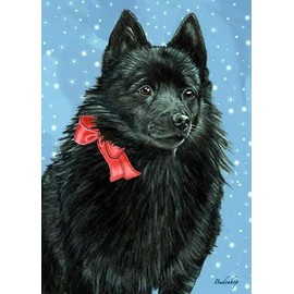 Schipperke Christmas Cards : 10 Holiday Cards with Red Envelopes - Adorable!