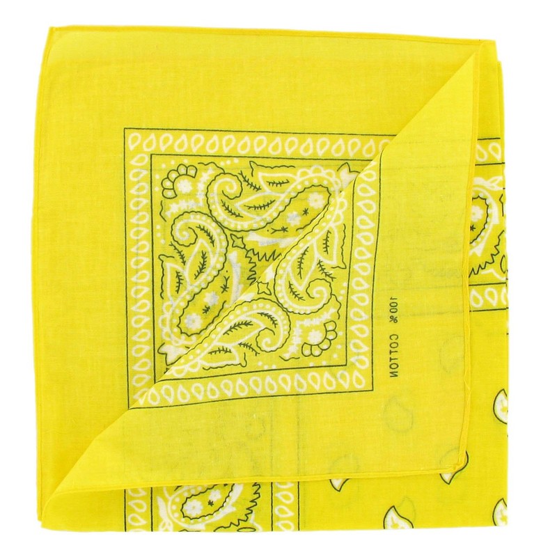 Laciteinterdite Set of 3 Paisley Bandanas for Men and Women,