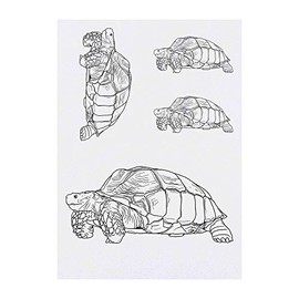 4 x 'Tortoise' Temporary Tattoos - Water Resistant, Skin-Safe, Non-Toxic Transfers, Mixed Sizes (TO00041083)