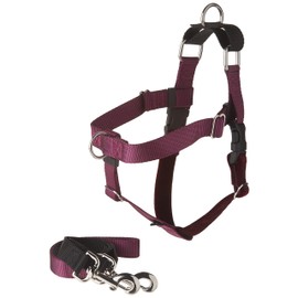 2 Hounds Design Freedom No Pull Dog Harness | Adjustable Gentle Comfortable Control for Easy Dog Walking |for Small Medium and Large Dogs | Made in USA | Leash Included | 1" MD Burgundy