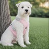 Vxcbad Puppy Dog Harness with Lead Safety Harness Dog Anti-Pull