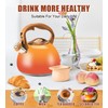 Foedo Tea Kettle Stovetop, 3.2Qt Stainless Steel Tea pots with