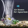 CAPASTEC Fish Tank Air Stone, Air Disk Stone for Mineral,