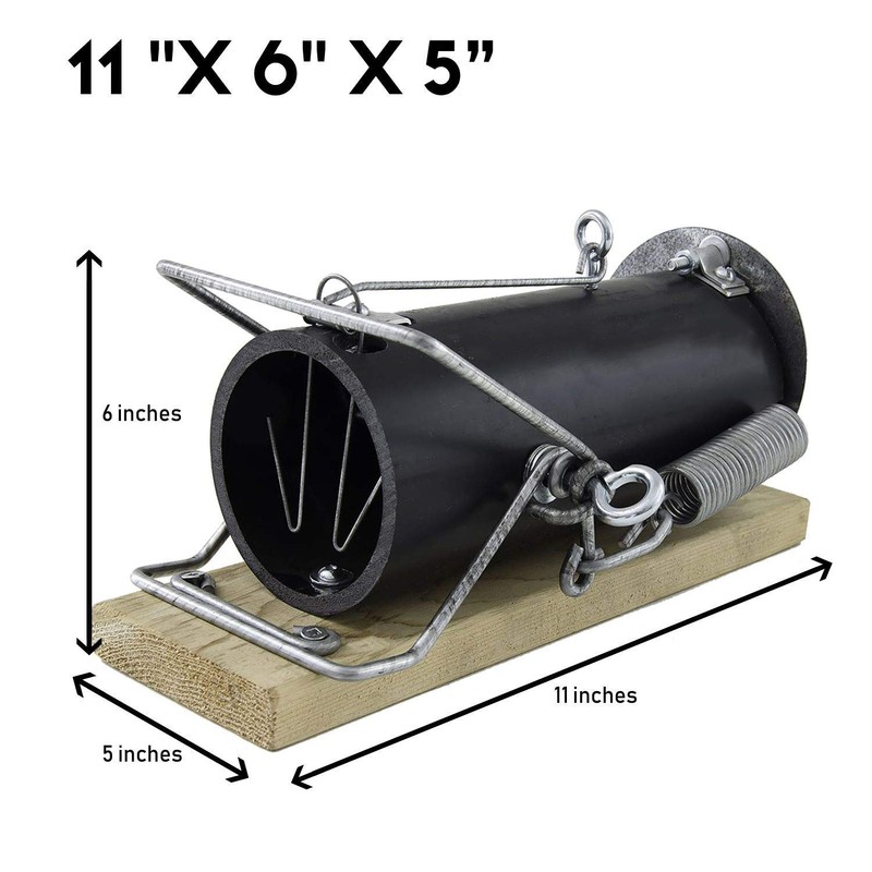 Squirrel Traps Outdoor - Squirrel Traps - Ouell Traps -