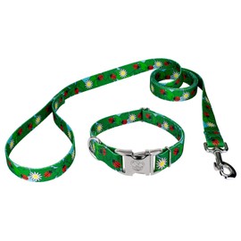 Country Brook Petz - Premium Ladybug Picnic Dog Collar and Leash - Summer Breeze Collection Featuring Sunny Designs (1 Inch, Medium)