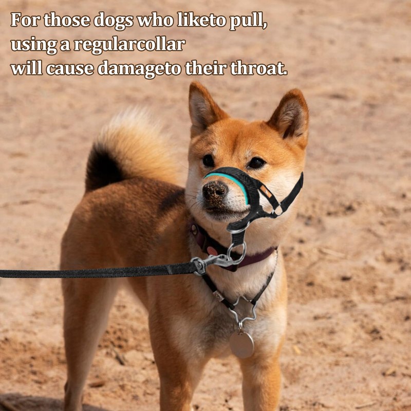 wintchuk Dog Head Collar with Soft Fabric, Head Harness Stops