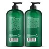 Botanic Hearth Vegan Collagen Infused Tea Tree Shampoo and Conditioner