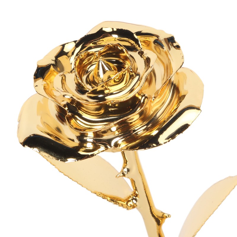 24K Gold Plated Rose Clear Texture Romantic Exquisite Long Lasting