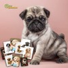 New Generation – Puppies - Composition Notebooks, 80 Sheets /