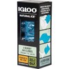 Igloo 1 lb. Natural Ice Cubes