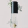 Panpuri Lip Tint Oil, Clear | Intense Moisturizing, Mango Butter