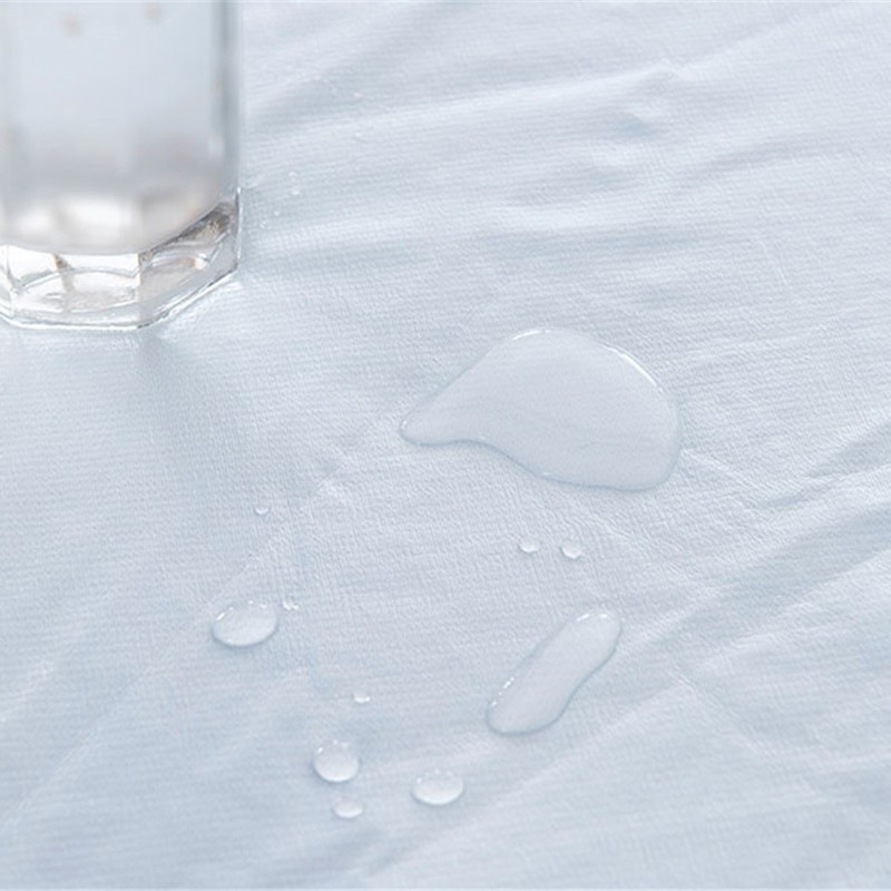 Waterproof Anti mite Mattress Pad Cover Fitted Sheet Blue 150*200+30cm