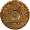 31 Year AA Medallion Traditional Bronze Raised Center Sobriety Chip