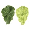 diyhub 10 Pcs Fake Lettuce Leaves Artificial Green Vegetables Plastic