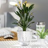 XKYQSY 4 Pack 4 inch Self Watering Pots Planters for