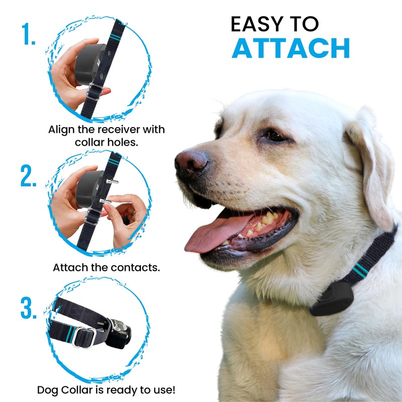ECollar Replacement Strap - Compatible with Major Brands Including Petsafe,
