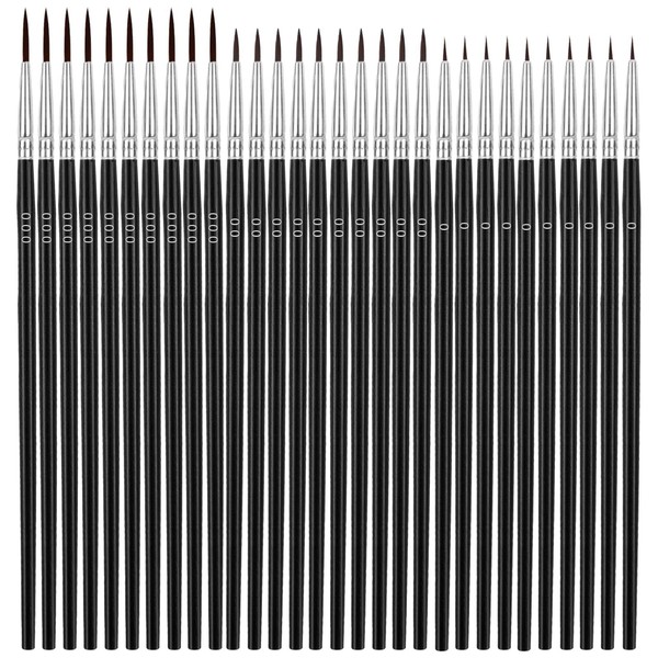 Anezus Tiny Detail Paint Brushes 30 Pcs Fine Paint Brushes Set with 3 Size #0#00#000 Liner Brush for Miniature 40k Model Crafts Watercolor Acrylics Oil