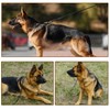 LWBMG Long Leather Dog Leash 10ft,Long Line Pet Leashes,Strong Sturdy