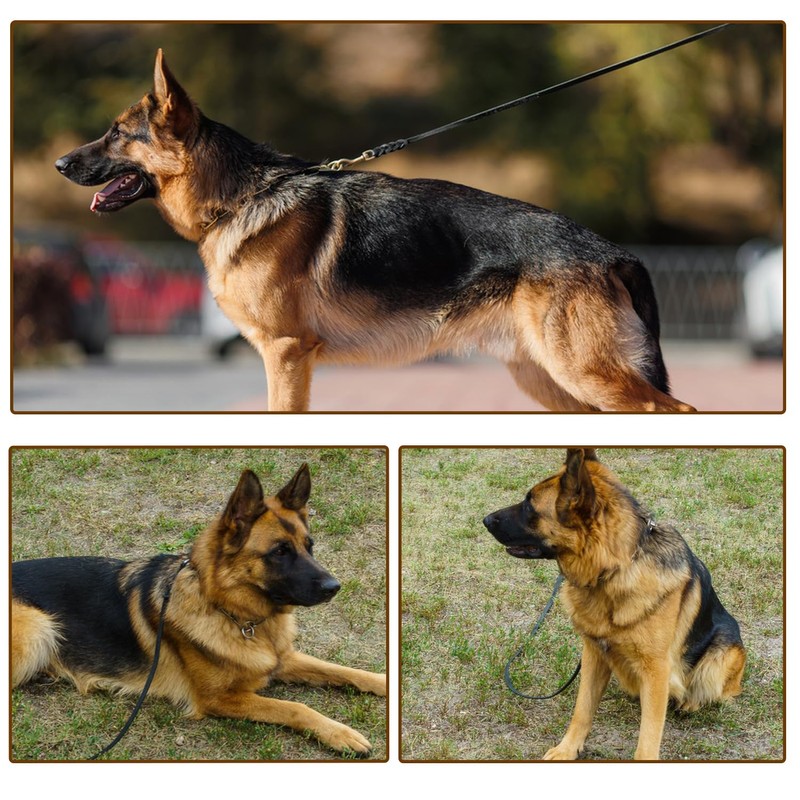 LWBMG Long Leather Dog Leash 10ft,Long Line Pet Leashes,Strong Sturdy