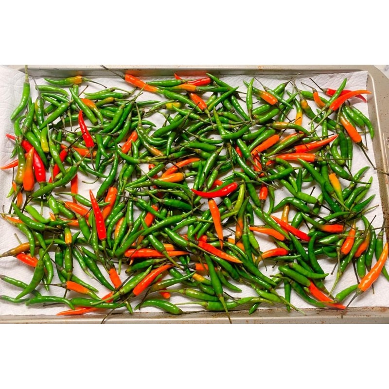 Thai Fresh Chili Peppers Good for Spicing Up Your Dishes