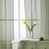 Lecloud Short Sheer Curtains 54 Inches Length 2 Panels, Light