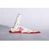 BMZ CL-K751 "CCLP Theory" Model, Soccer Insole, Cal Power Smart