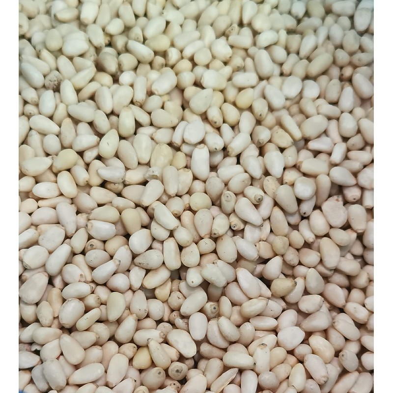Natural Health 4 Life Raw Nuts Pine Nuts 100 g
