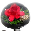Autoland Underwater Flower Handle Spinner Red Steering Spinner Knob Real