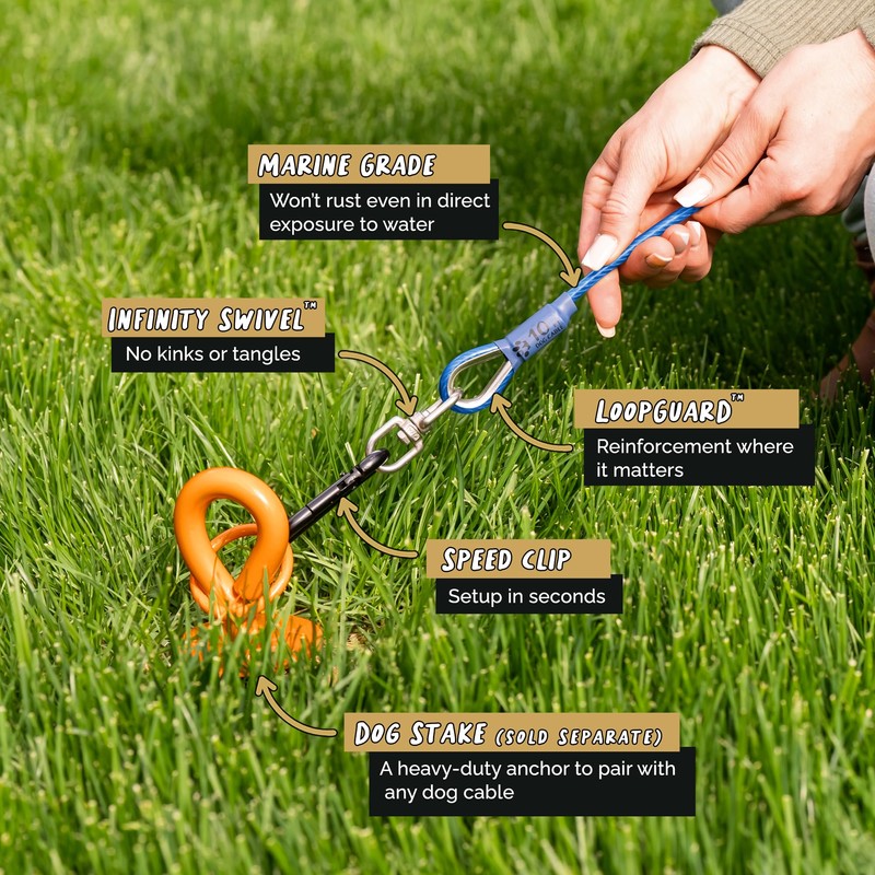 ROYAL PAW Dog Tie Out Cable - Tie Out Cable