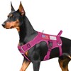 FAYOGOO Tactical Dog Harness for Small and Medium Breed -